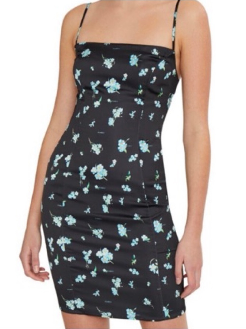 DANIELLE GUIZIO Forget Me Me Not Floral Dress